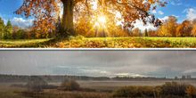 Goldener Oktober vs. Schmuddelwetter
